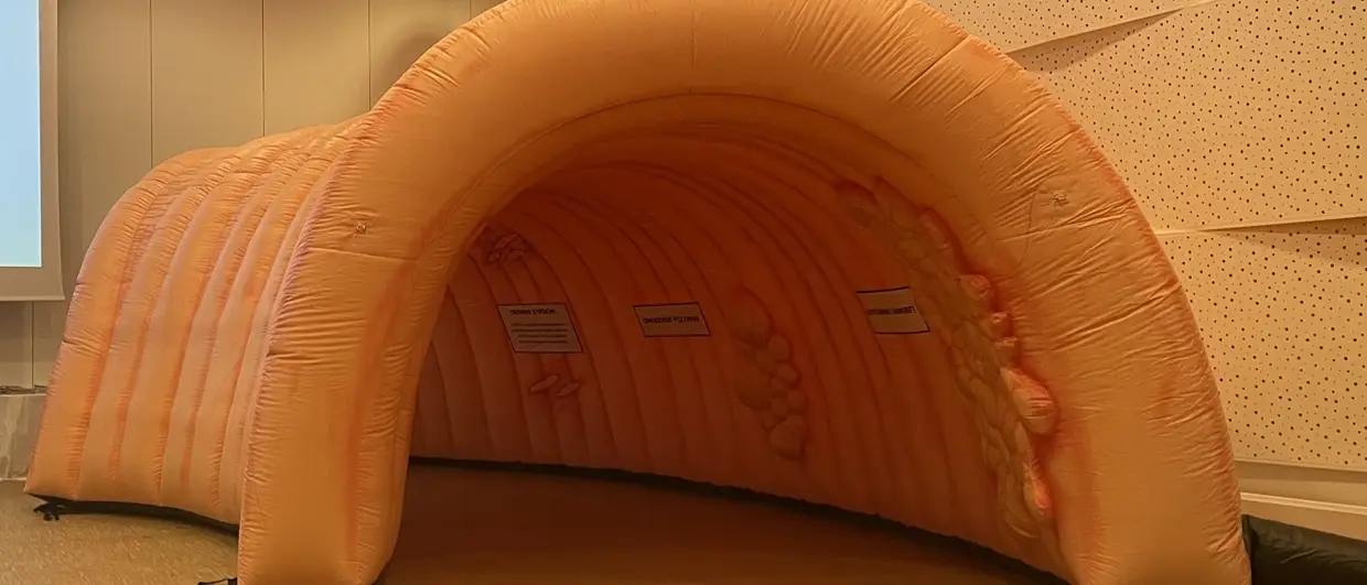 Tarmscreening er i gang i Norge, her er hva du bør vite