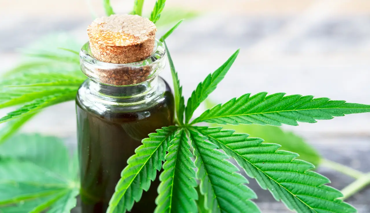 2023-06-16-a-cannabis-oil 2023-06-16-a-cannabis-oil